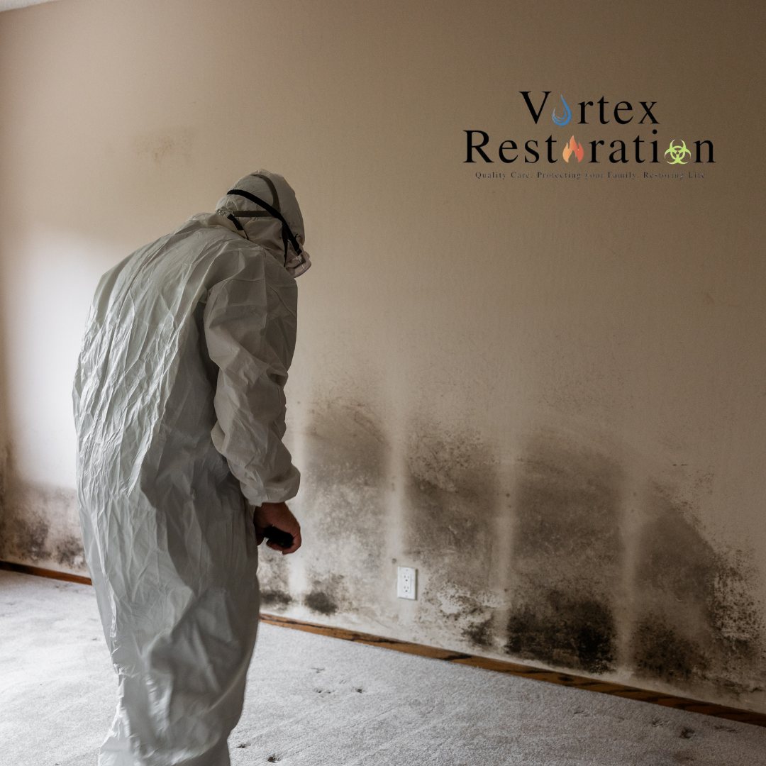A Vortex Restoration technician assessing damage in a home